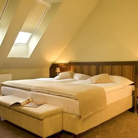 Hotel Academic 3*